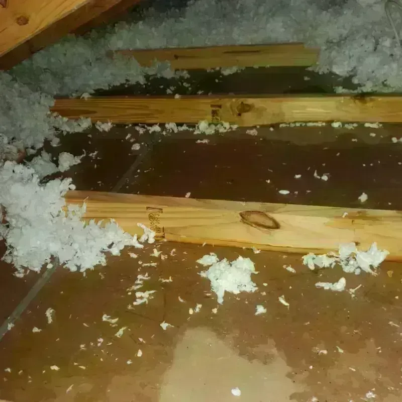 Attic Water Damage in San Carlos, TX