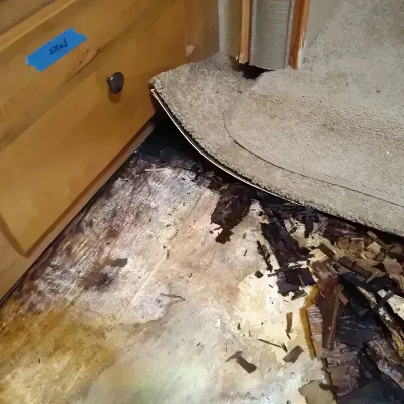 Wood Floor Water Damage in San Carlos, TX